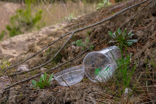 Danske forskere opfinder alternativ til plastik lavet af byg: »Vores materiale er hundrede procent nedbrydeligt«